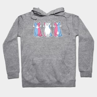 Trans Purride! Hoodie